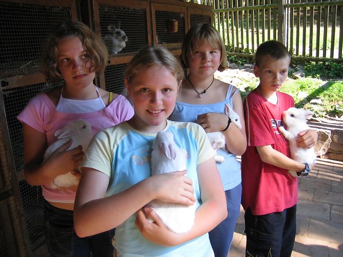 Streicheleinheiten (Foto: slh)