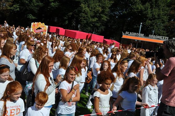 Rotes Treffen (Foto: S. G&auml;mkow)