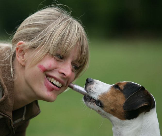 Aber bitte ohne Hund (Foto: privat) Aber bitte ohne Hund (Foto: privat)