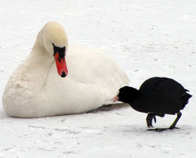 Nicht angefroren (Foto: privat)