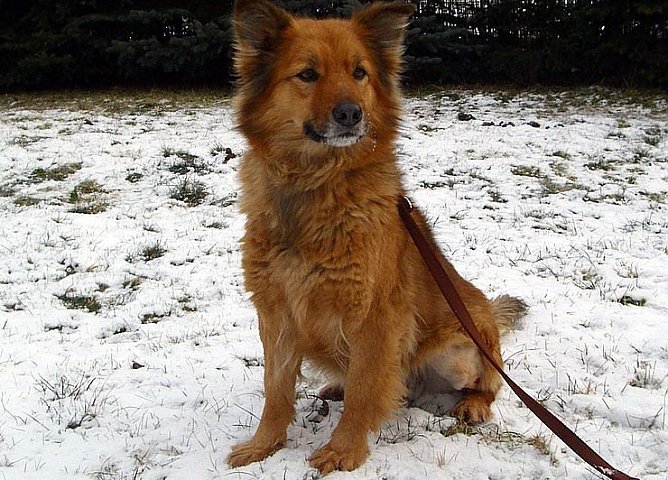 Elli (Foto: C. Knust)