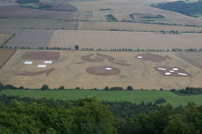 Da entsteht was... (Foto: privat)