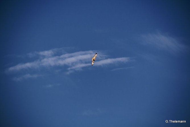 Wetterbild (Foto: Gernot Thelemann)