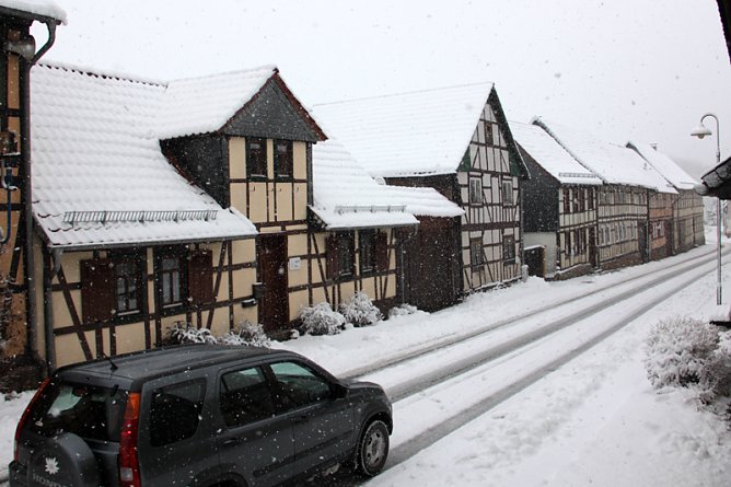 Winter im April - V&ouml;gel im Schnee (Foto: Christiane Wiesemann)