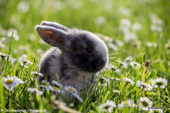 Wetterbild (Foto: Gernot Thelemann)