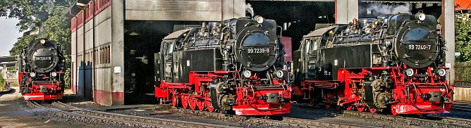 Die Brocken-Loks (Foto: Bahnsen/HSB)