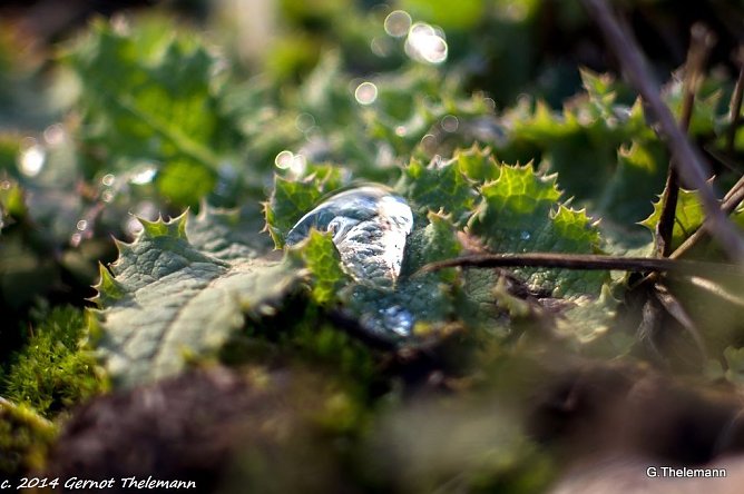 Wetterbild (Foto: Gernot Thelemann)