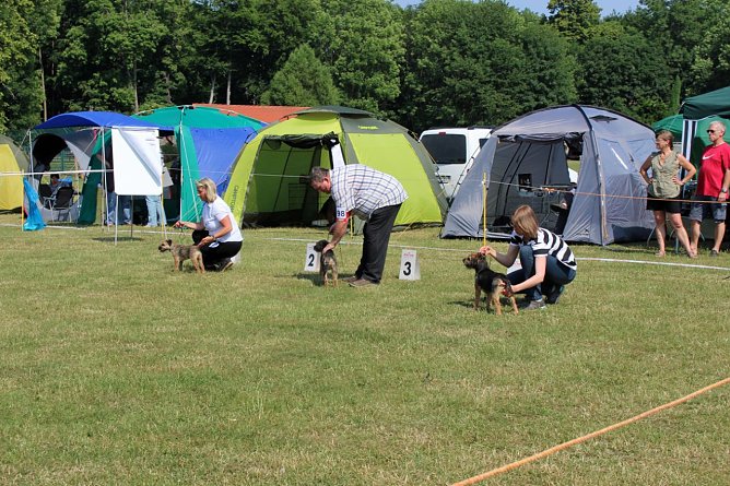 Auf dem Possen bellt es (Foto: Karl-Heinz Herrmann)