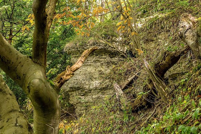 Felswand an der Hasenburg (Foto: Gernot Thelemann)