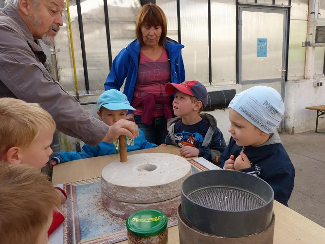 Gespannt verfolgen die Kinder wie das Korn zu Mehl gemahlen wird. (Foto: Foto: Landratsamt)