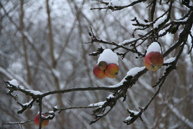 Wetterbild (Foto: Angelo Glashagel) Wetterbild (Foto: Angelo Glashagel)