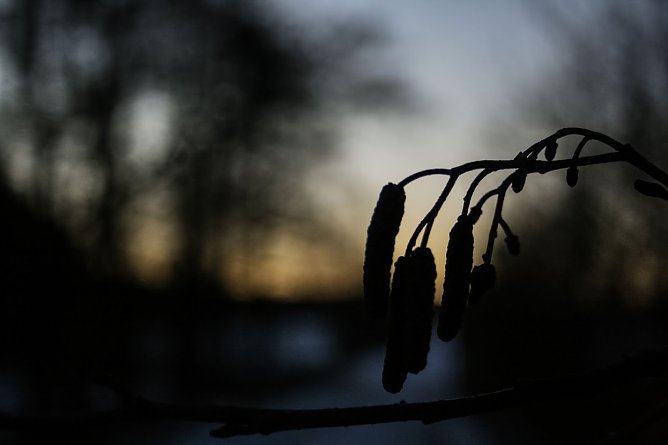 Wetter-Bild (Foto: Gernot Thelemann)