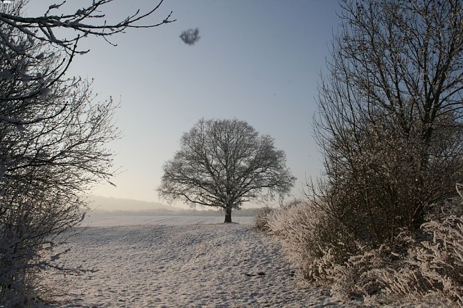 Wetter-Bild (Foto: Gernot Thelemann)