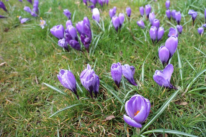 Wetterbild (Foto: Angelo Glashagel) Wetterbild (Foto: Angelo Glashagel)