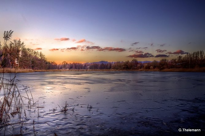 Wann wird es endlich Fr&uuml;hling? (Foto: Gernot Thelemann)