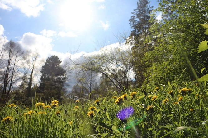 Wetterbild (Foto: Angelo Glashagel)