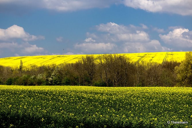 Wetter-Bild (Foto: Gernot Thelemann)