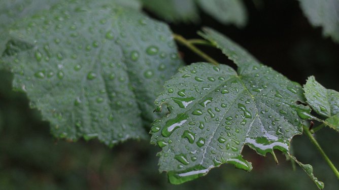 Wetterbild (Foto: Angelo Glashagel)