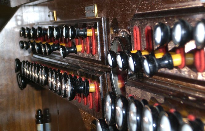 Die Orgel der St. Petri-Kirche (Foto: privat)