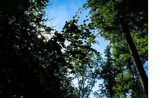 Sonne in Sicht (Foto: Gernot Thelemann)