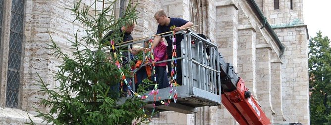 Kirmesbaum am Kornmarkt wird geschm&uuml;ckt (Foto: Pressestelle Rathaus)