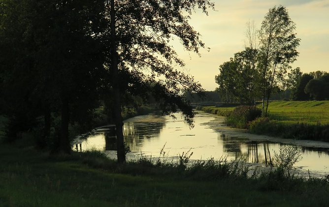 Lichtblick (Foto: nnz)