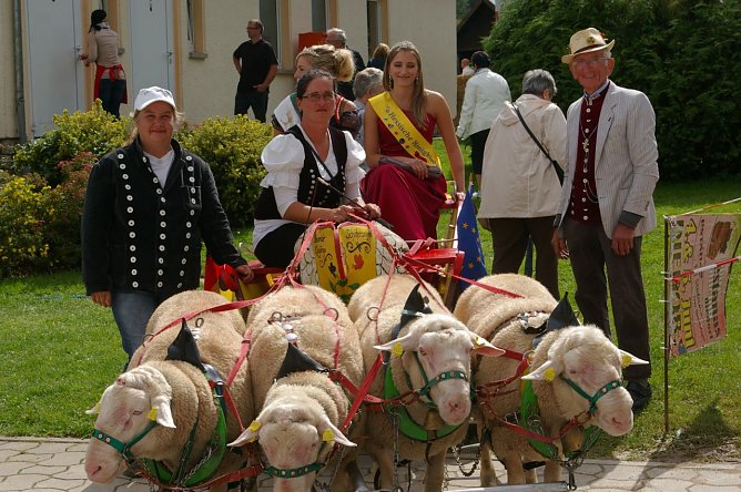 Bauernmarkt (Foto: Ilka K&uuml;hn)