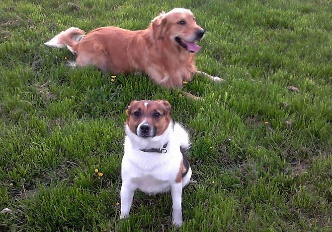 Merlin und Felix (Foto: B. Hellrung)