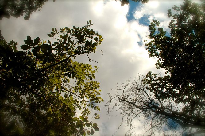 Wetterbild (Foto: Angelo Glashagel)