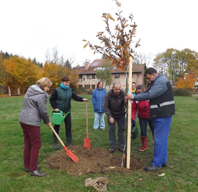 Gepflanzt (Foto: Landratsamt UHK)
