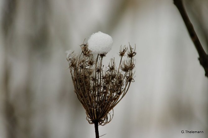 Wetter-Bild (Foto: Gernot Thelemann)