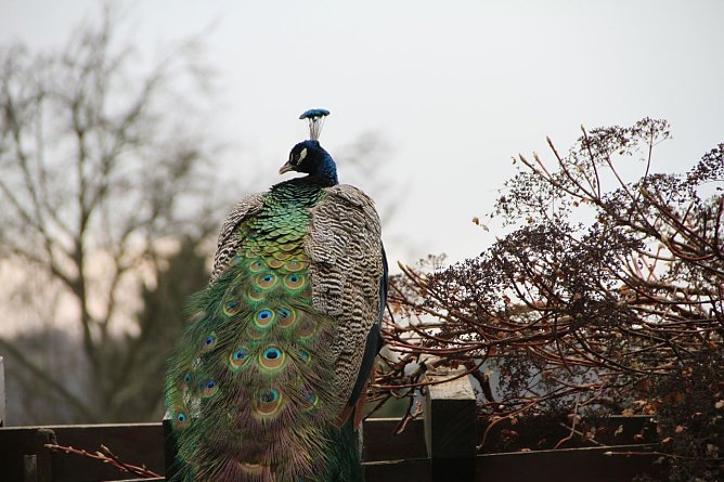 Wetterbild (Foto: Angelo Glashagel)