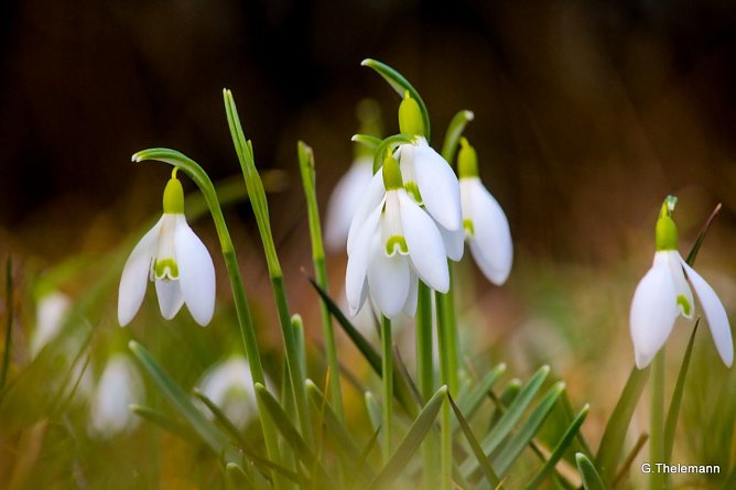 Wetterbild (Foto: Gernot Thelemann) Wetterbild (Foto: Gernot Thelemann)