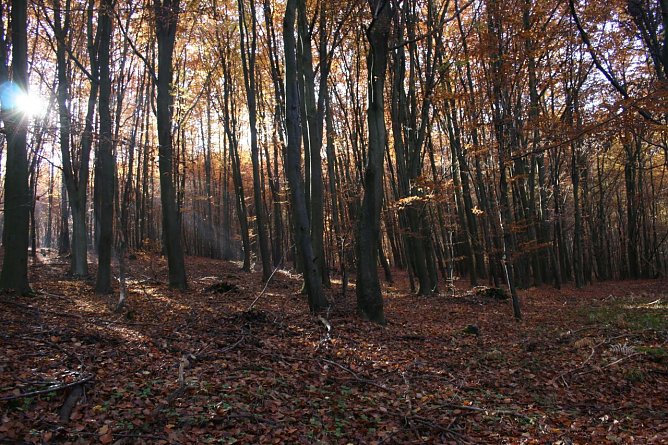 Wetter-Bild (Foto: Gernot Thelemann)