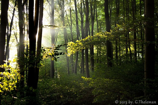 Wetterbild (Foto: Gernot Thelemann)