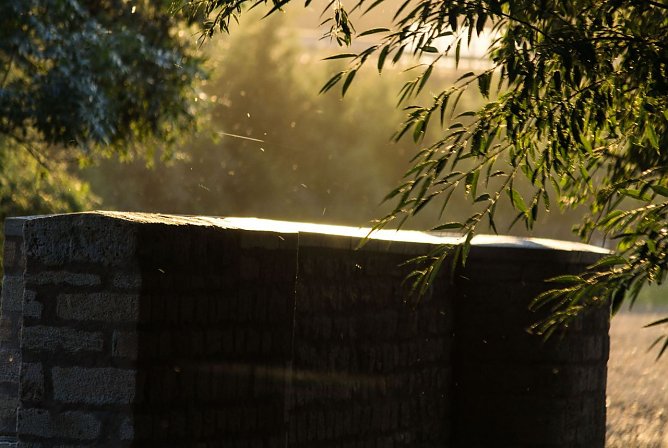 Wetter-Bild (Foto: Gernot Thelemann)