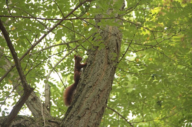 Wetterbild (Foto: Angelo Glashagel)