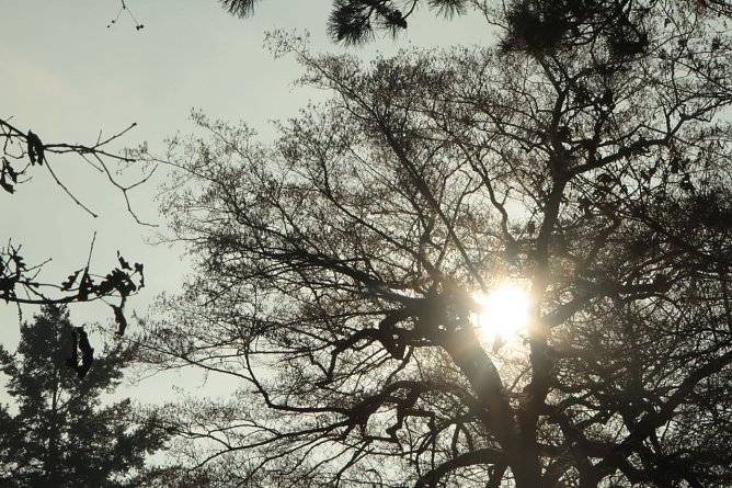 Wetterbild (Foto: Angelo Glashagel)