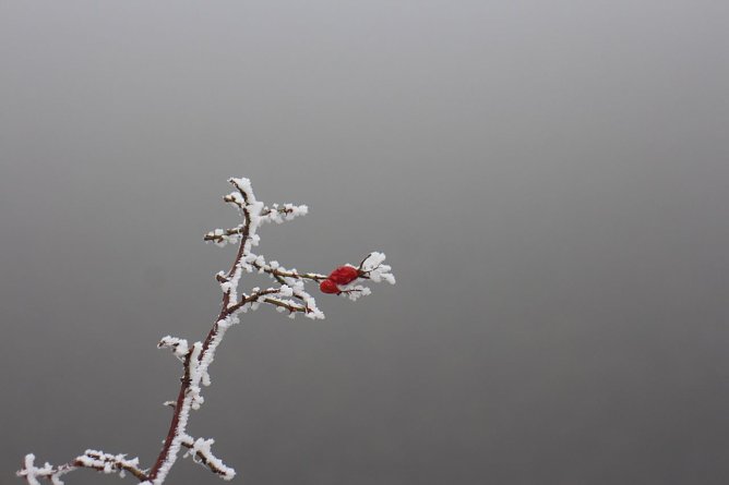 Wetterbild (Foto: Angelo Glashagel)
