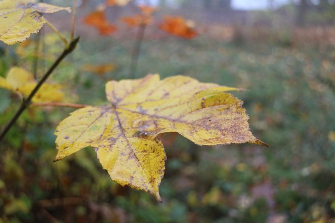Wetterbild (Foto: Angelo Glashagel)