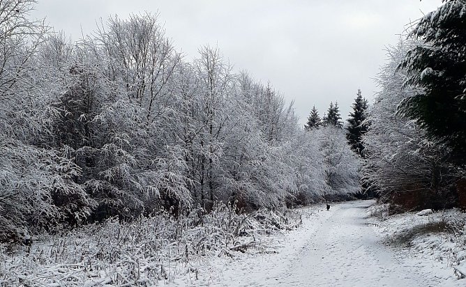 Sophienhof, im Landkreis Nordhausen (Foto: W. J&ouml;rgens)