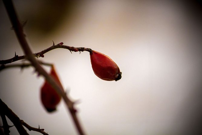 Wetterbild (Foto: Gernot Thelemann)