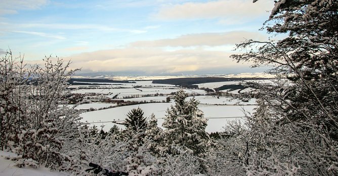 Vielleicht ab n&auml;chste Woche? (Foto: Gernot Thelemann)