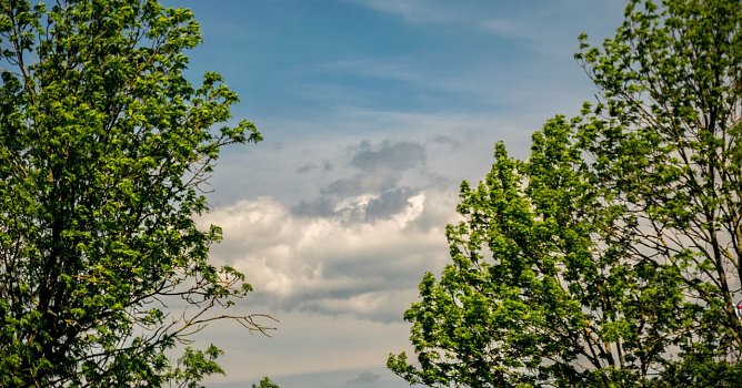 Wetterbild (Foto: Gernot Thelemann)