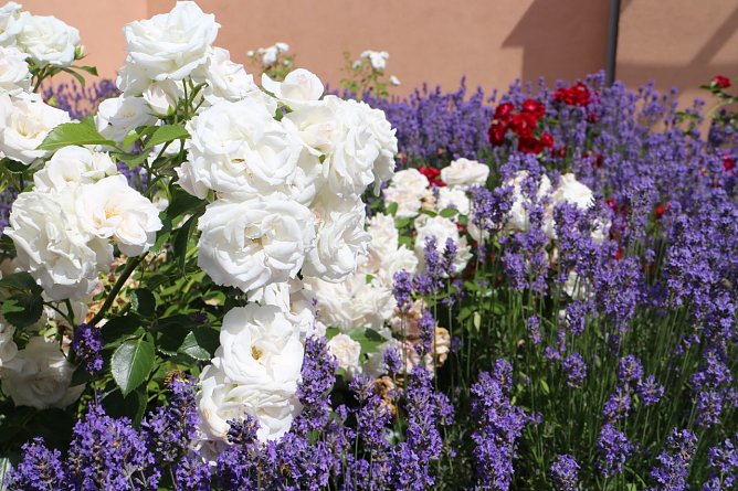 Wetterbild (Foto: Angelo Glashagel)