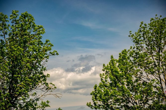 Es k&ouml;nnte "ungem&uuml;tlich" werden (Foto: Gernot Thelemann)