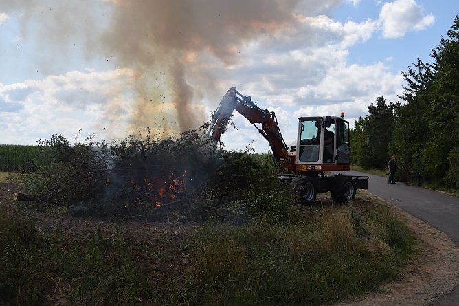 Feuerbrand (Foto: Stadt Bad Langensalza) Feuerbrand (Foto: Stadt Bad Langensalza)