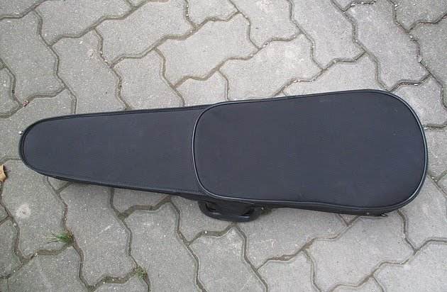 geige (Foto: PI NDH)