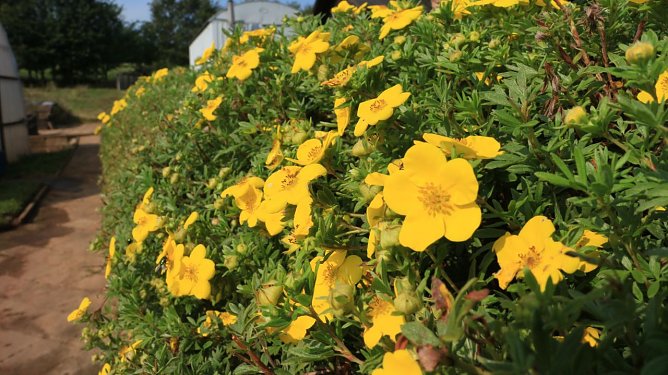 Wetterbild (Foto: Angelo Glashagel) Wetterbild (Foto: Angelo Glashagel)