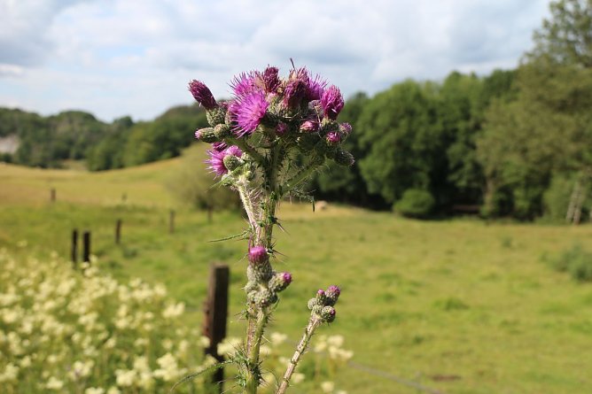 Wetterbild (Foto: Angelo Glashagel)